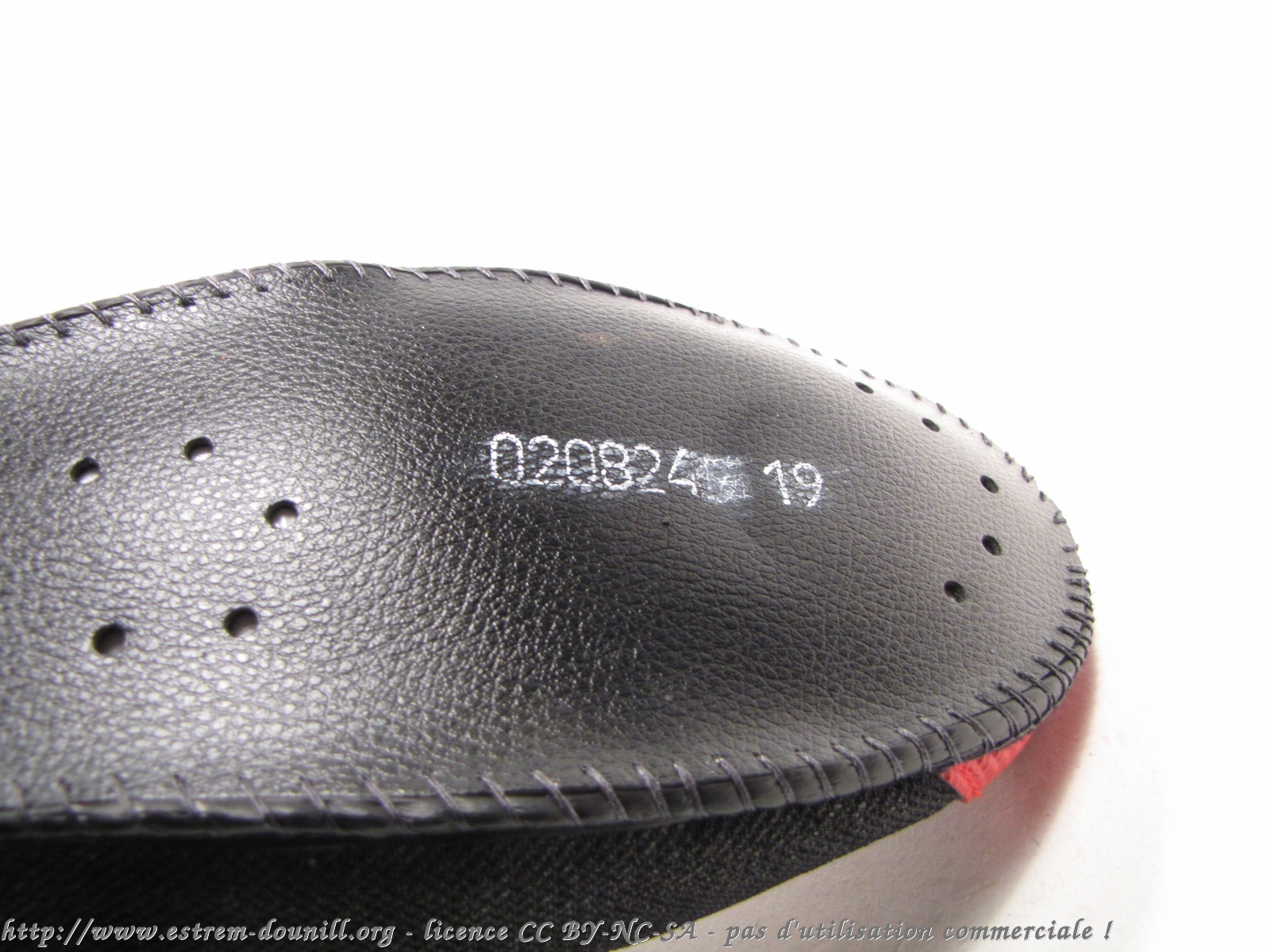 rollerblade_macro_progress_w__chausson_reference.jpg