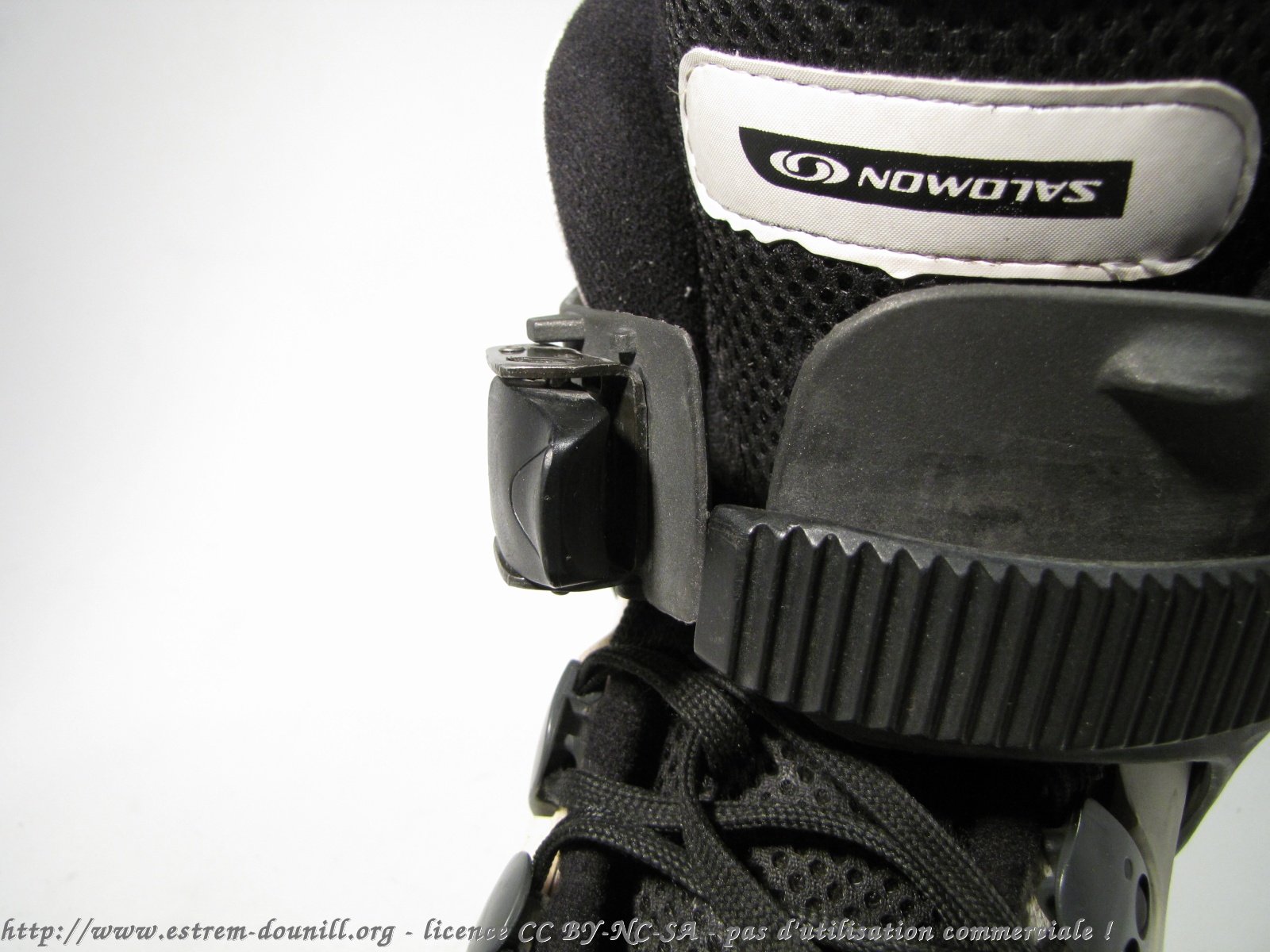 salomon_brandon_campbell__boucle_2.jpg